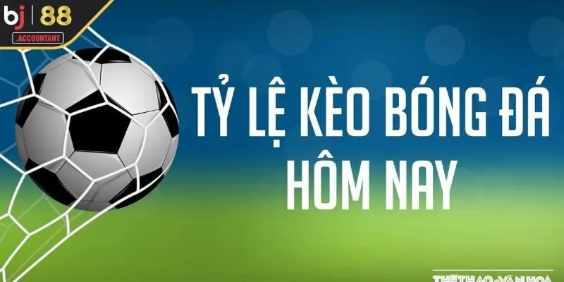 Nhà cái uy tín là nền tảng của kèo bóng đá hôm nay