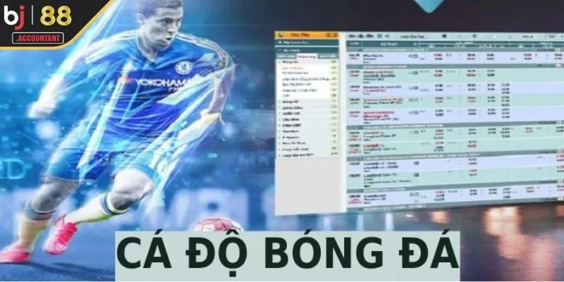 Những tiêu chí để chọn Trang cá cược bóng đá uy tín nhất