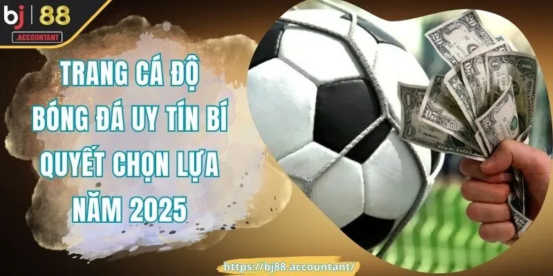 trang cá độ bóng đá