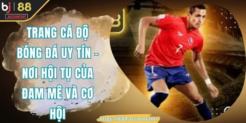 Trang cá độ bóng đá uy tín